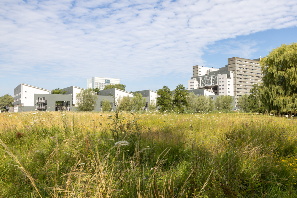 20220713_USP_Algemeen_3